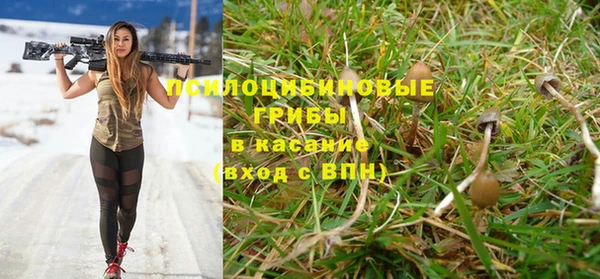 соль курить ск Абаза
