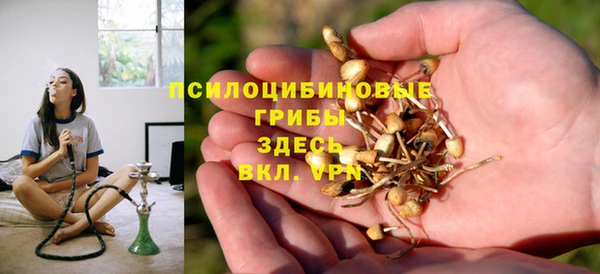 тгк Абдулино
