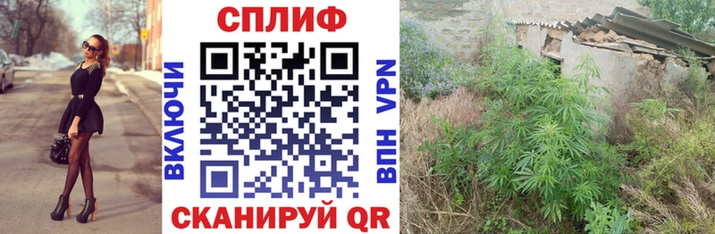 где купить наркоту  Разумное  Конопля AK-47 